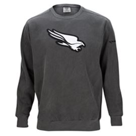 Falcon Comfort Colors Chenille Crewneck Gray