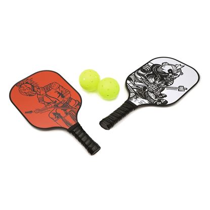 Adversary Duo Pickleball set