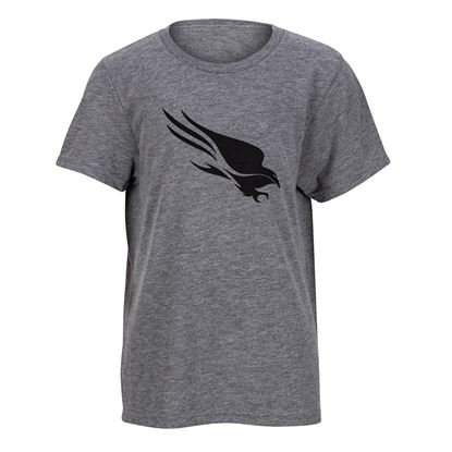 Youth Falcon Tee