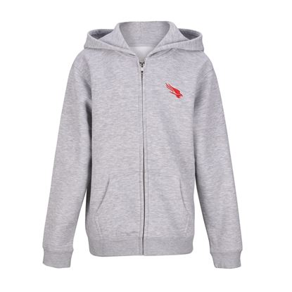 Falcon Youth Zip Up- Gray